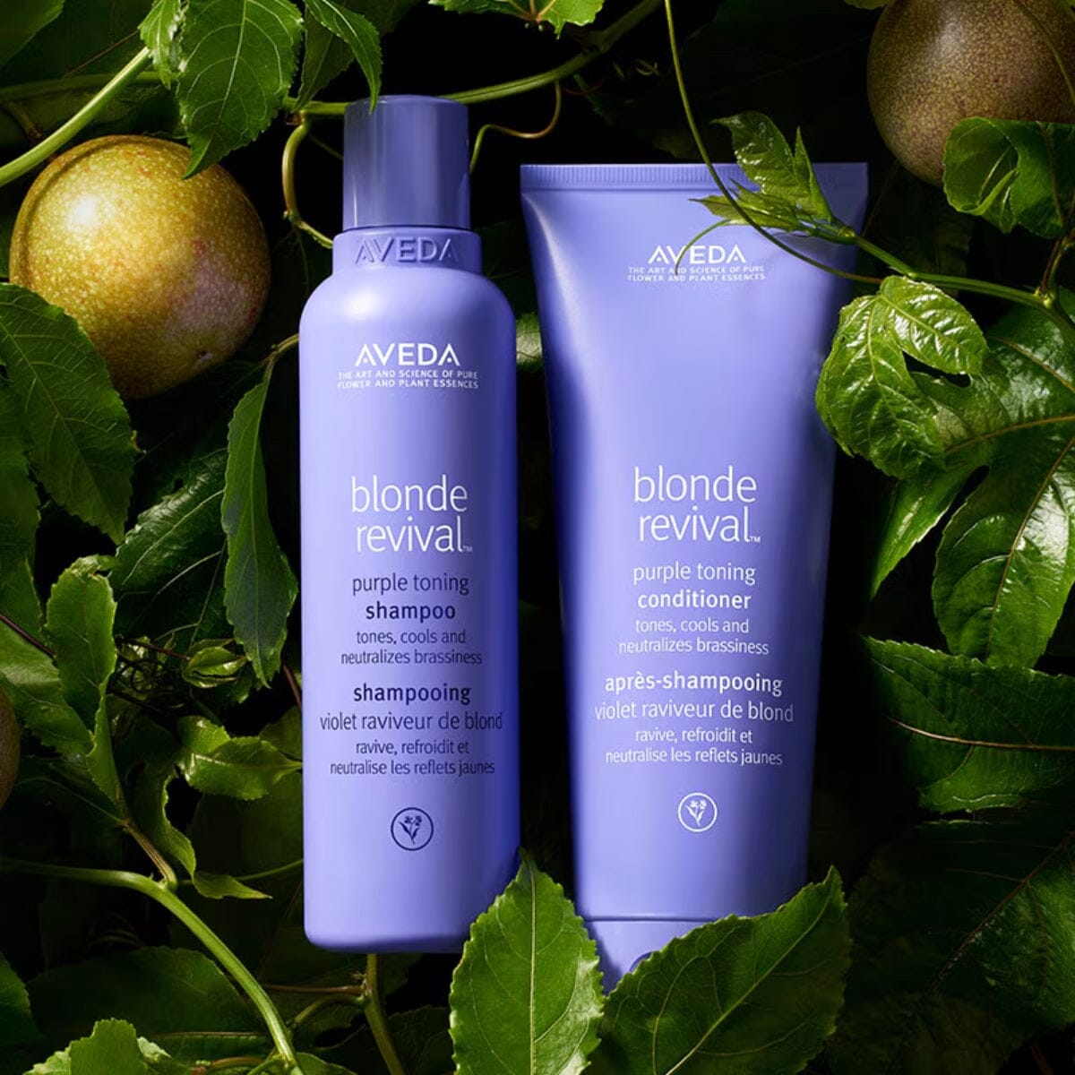AVEDA Blonde Revival Purple Toning Shampoo 200ml